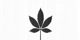 エバーグリーン ロゴ